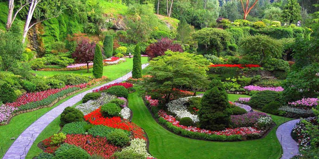 دوره آموزش ایجاد فضای سبز